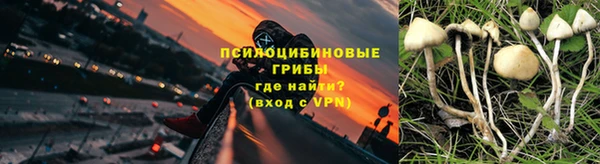 a pvp Зерноград