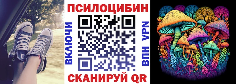 Купить закладки  Павловский Посад  Псилоцибиновые грибы MAGIC MUSHROOMS 